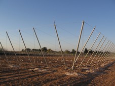 Structure m&eacute;talique d'un abri canarien